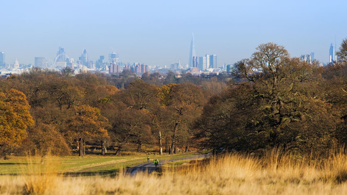 75dc4445eb44907334b6aafa34d9996a