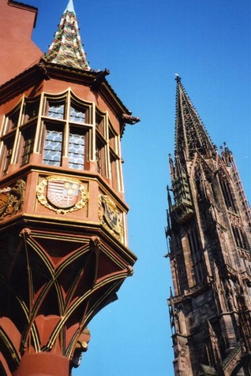 freiburg-looking-up